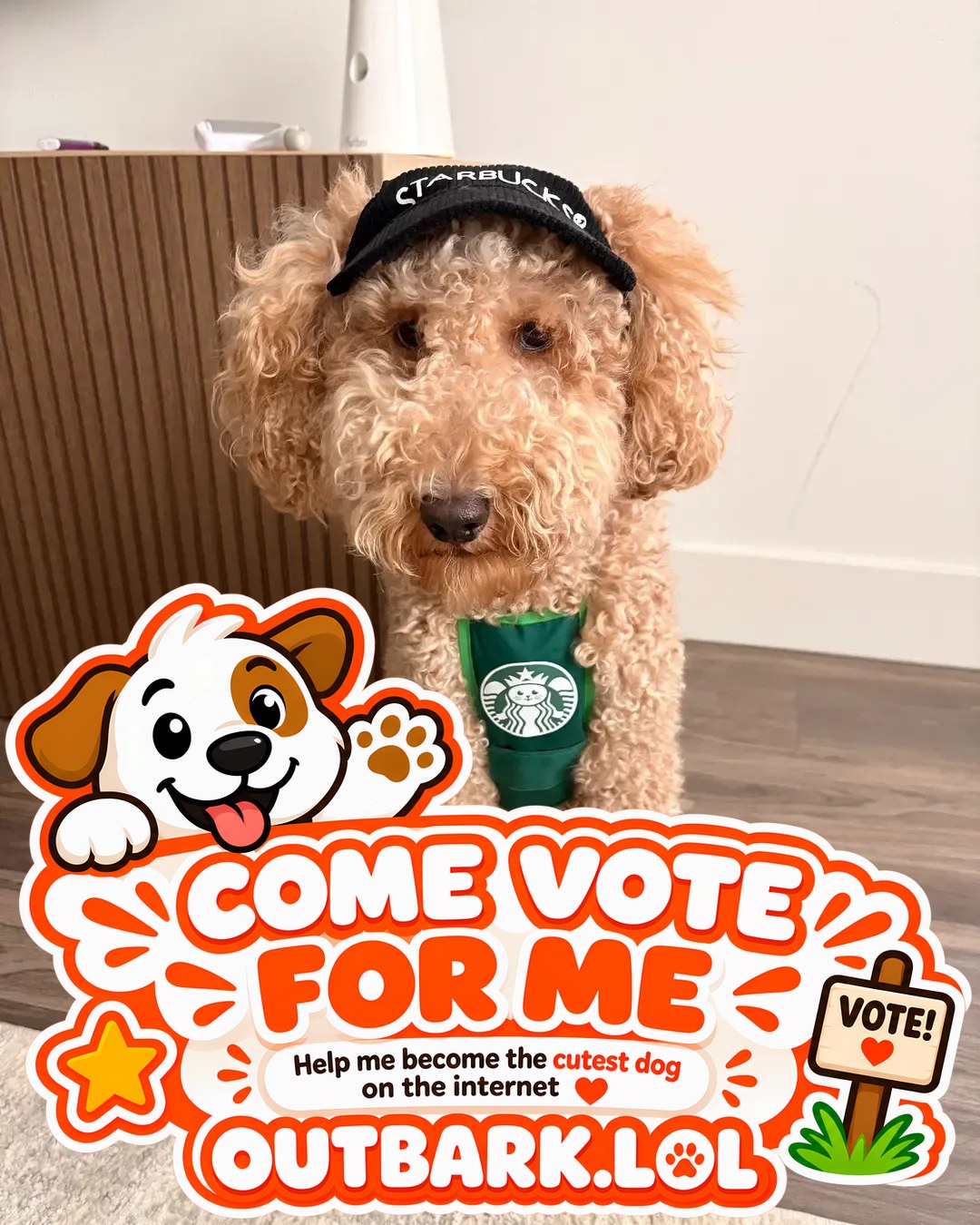 Brocco — The photo sticker