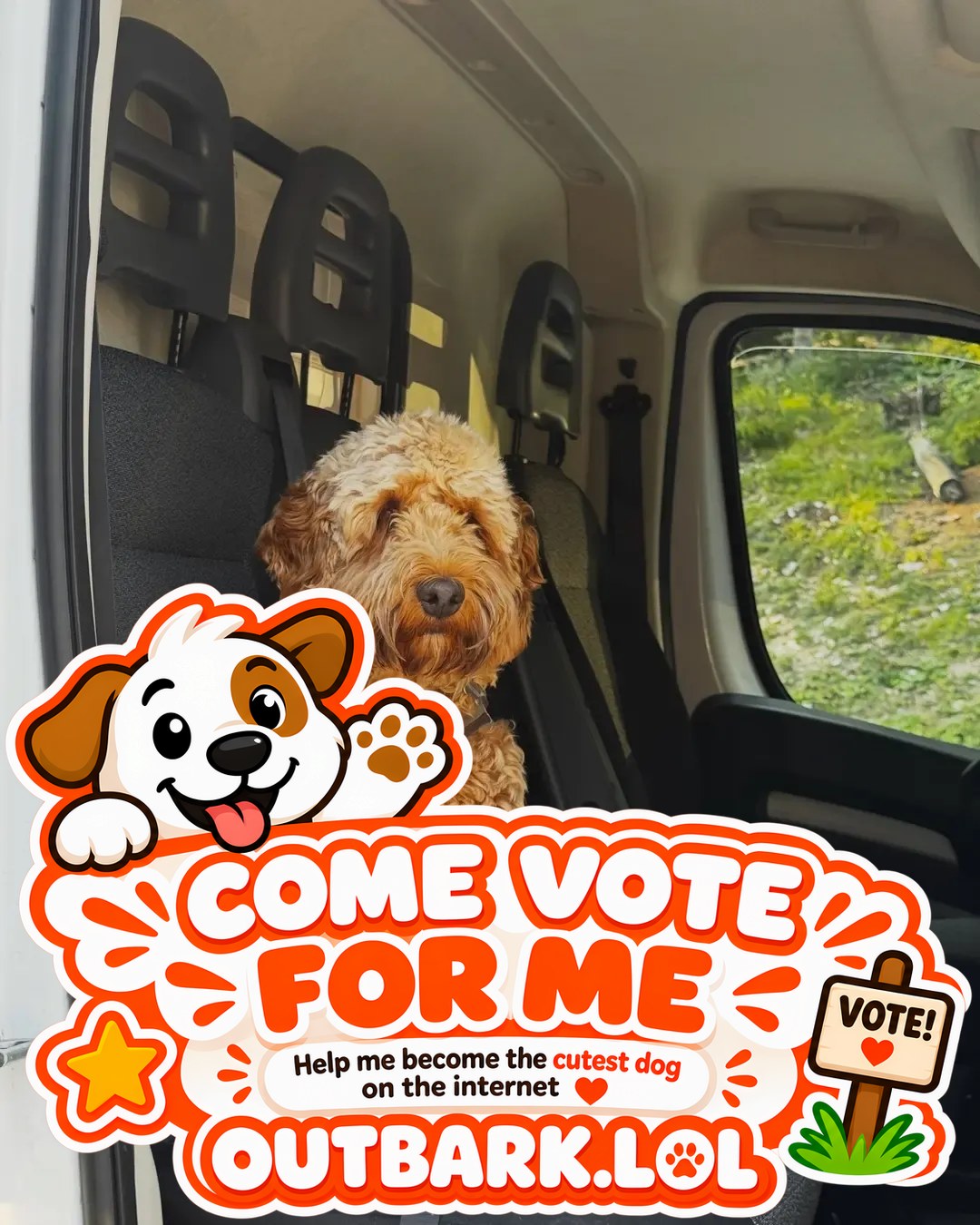 Oscar — The photo sticker