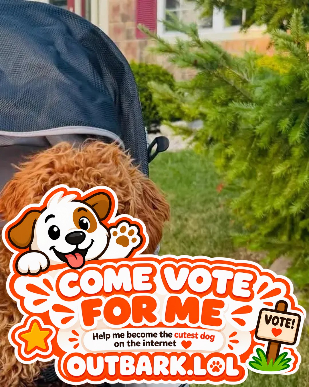 Sai — The photo sticker